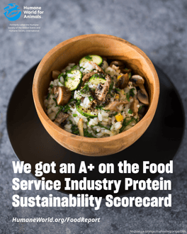 2025 scorecard sharegraphic_A+-2