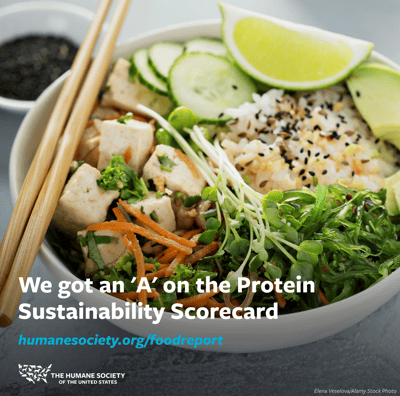 Scorecard 2024 graphic A-1