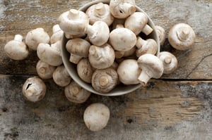 mushrooms nutritional benefits